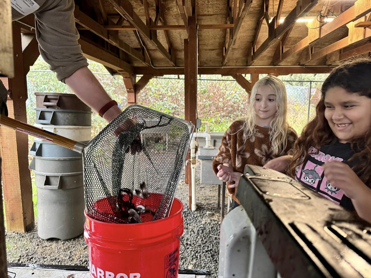 Steelhead Arrive at Eastwood Elementary School
