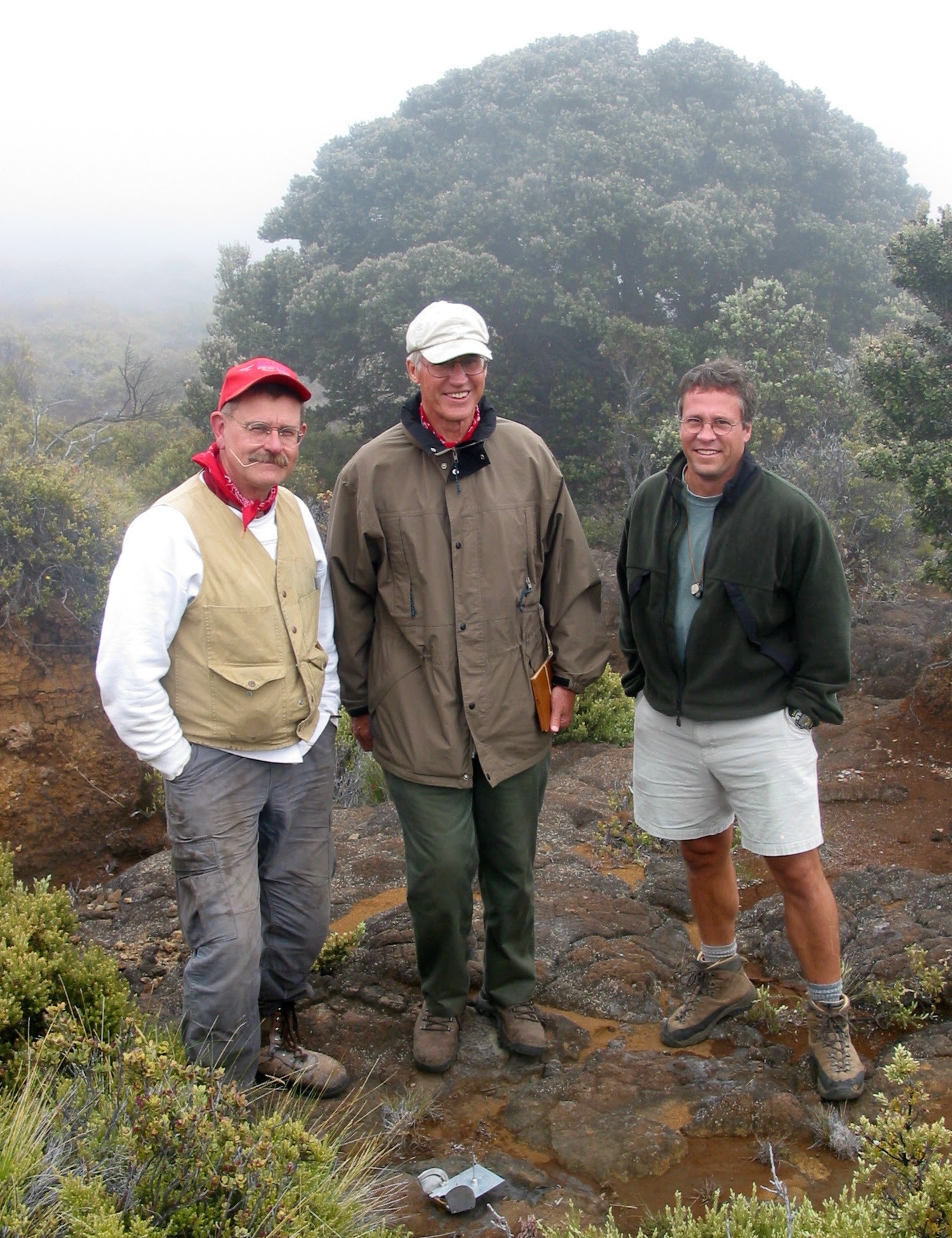 Unveiling Earth's magnetic secrets — USGS-HVO Volcano Watch