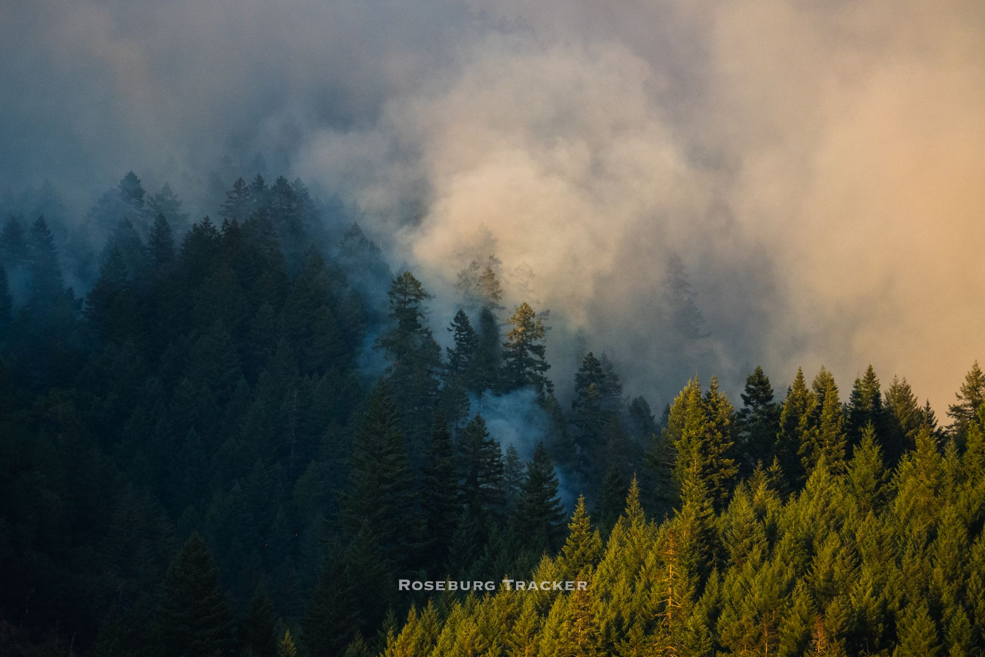 Cougar Creek Fire Grows To 3,965 Acres, Lighthouse 3 Fire Grows To 656 ...